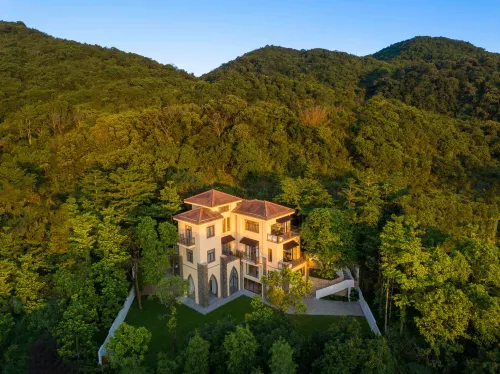 Miyue Shenzhen Tianlu Secret Wild Wizard Holiday Meisu