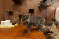 Ruyard (Datong Ancient City Branch)