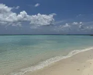 Avyanna Gulhi Beach Hotel - Ocean View