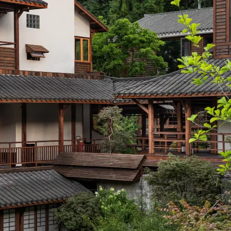 Under the Tree Art Hot Spring Homestay