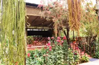 Chitwan Paradise Hotel - 5-Star