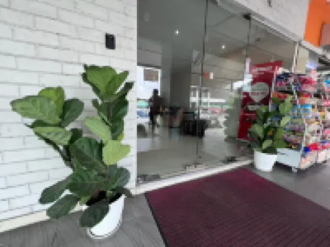 Swing & Pillows @ Kajang Selangor Hotels in Hulu Langat District