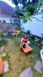 The Backyard Hostel