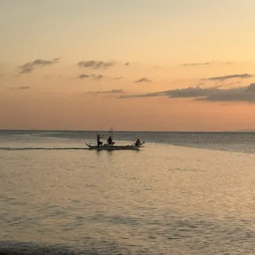 Casita de Flocerfida