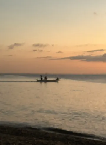 Casita de Flocerfida