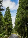 Flowery Forest Hotel