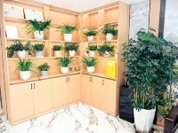Sog WanHao Grand Hotel Hotels in Sog County
