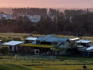 Top 20 Scenic Hotels in Ili
