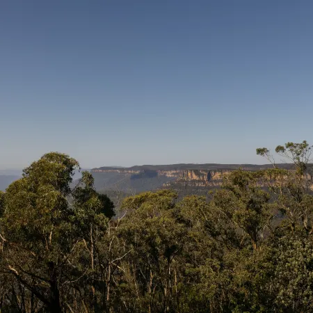 Ardour Lilianfels Blue Mountains