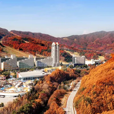 Phoenix Resort Pyeongchang Hotels near Phoenix Snow Park