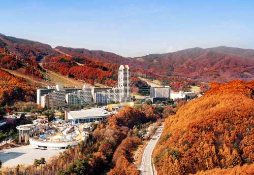 휘닉스 리조트 평창