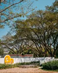 Moyard Khaoyai - バー