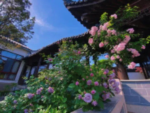 蘇州沁園藝術民宿 雨洞附近的飯店