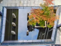 Wuxi Dangkou Ancient Town Yiwenge Hotel Hotels in Dangkou Ancient Town Scenic Area