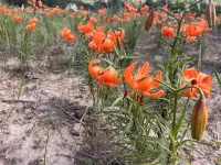 Lanzhou DaXiang Camping Hotel