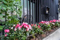 Waiting Hotel (Shanghai People's Square Changzheng Hospital Branch) Hotels near Xujiahui Business Circle
