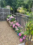 Taoyu Homestay