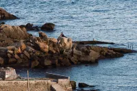 Meizhou Island Fenghe Homestay