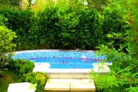 รีสอร์ทน้ำพุร้อนมิชูซิเย่เมาน์เทนเฮาส์ - น้ำพุร้อน
