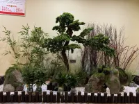 SHIGUAN