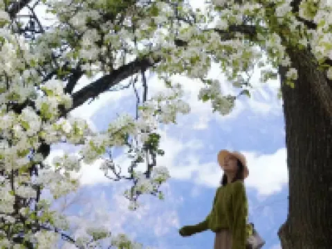 丹巴·德孜青麥villa（中路藏寨店） 丹巴酒店