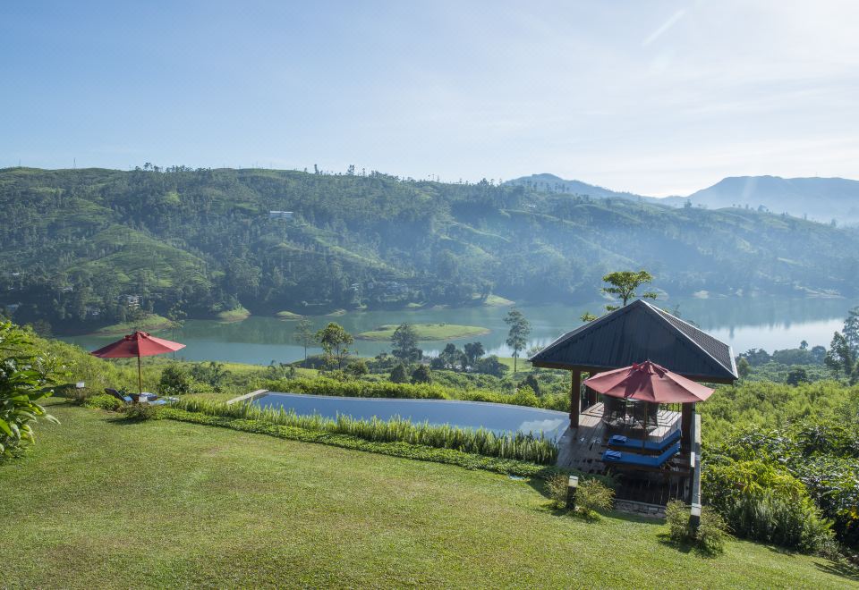 카멜리아 힐스 이미지