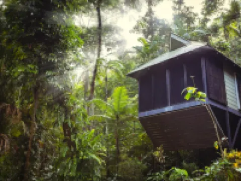 Daintree Eco Lodge Hotels in Daintree