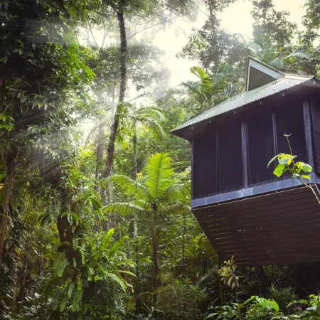 Daintree Eco Lodge