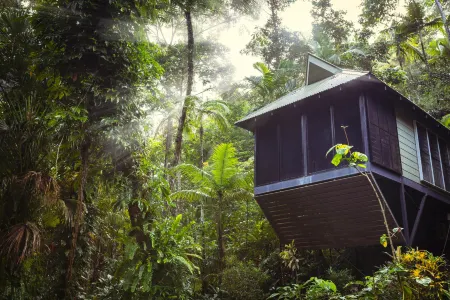 Daintree Eco Lodge