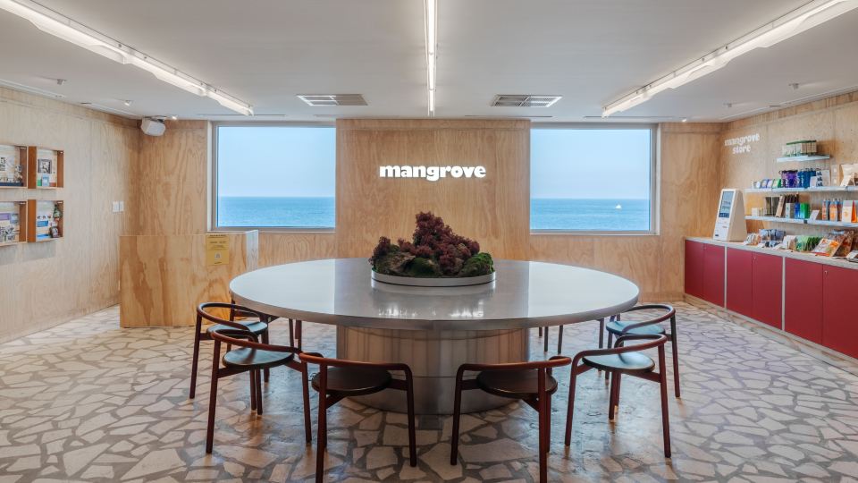 Mangrove Jeju City