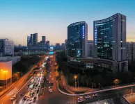 Lis Future Hotel (Zhengwuqu Swan Lake Wanda) - Romantic