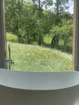 Senyu · Wood House B&B