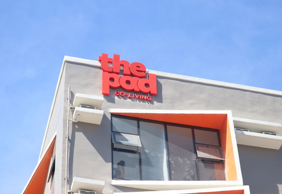 더 패드 코-리빙의 활기찬 분위기 이미지