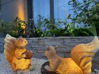 Liyunxinsu Guesthouse - Romantik