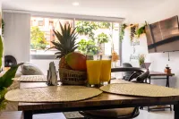 Cozy Spring Flat in Laureles