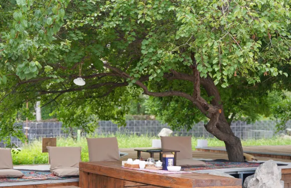 魔法書院（寧夏賀蘭山國家森林公園店）