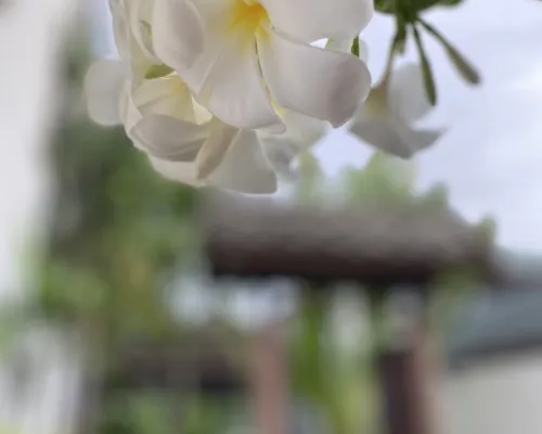 Baaninkan Homestay in kanchanaburi city Ngoại thất Photos