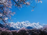 BAN SHAN NO.1 HOTEL - Mountain View