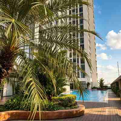 Oasis Grove Suites - Luxury Apartment Hotel Hotel Exterior
