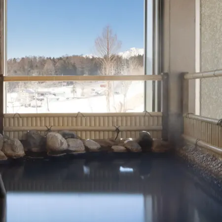 THE ALPS HOTEL HAKUBA
