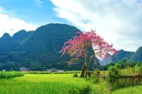 祥竜ホテル（英徳英西峰林走廊） - 絶景