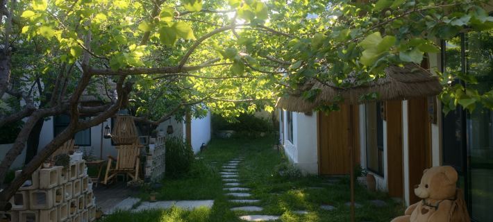 Turks Slow Homestay Hotels in Tekes County