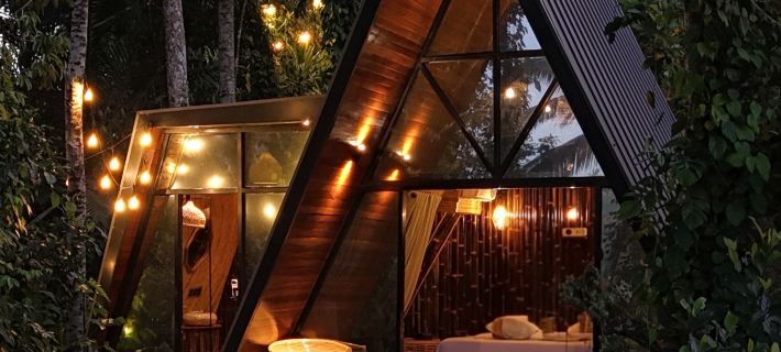 Delta Casa Ubud - A-Frame Jungle Retreat Hotele w: Bali