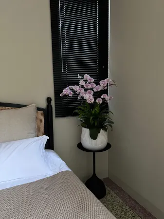 Shanerqi CafeTea B&B Отели рядом с достопримечательностью «Minnan Normal University»