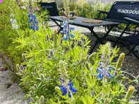 Hudd Cafe&Inn Hotels in Banbar