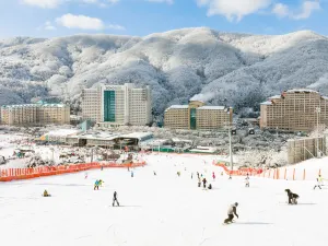 비발디파크