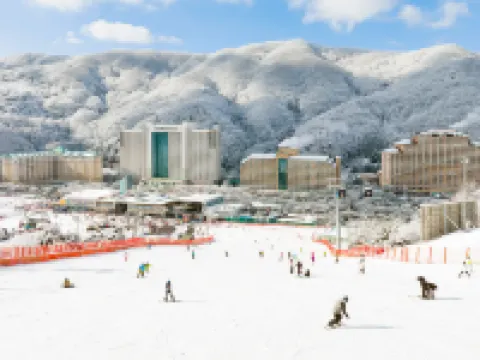 維瓦爾第公園酒店 洪川郡酒店