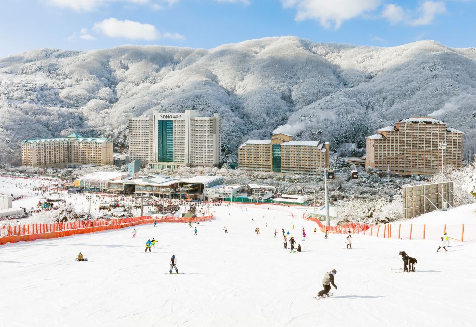비발디파크 조식 뷔페