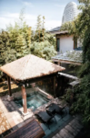 湖州太湖天籟之夢月亮灣温泉VILLA