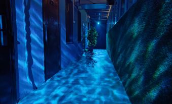 Dayu Esports · Audio-Visual · Fitness Themed Homestay (Xinchengzi)
